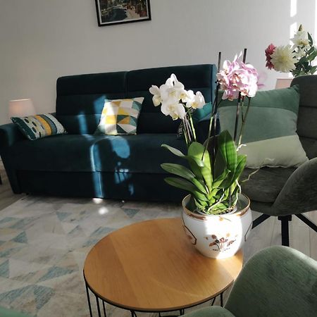 L Alsacienne F2 Centre Ville Mulhouse Dış mekan fotoğraf