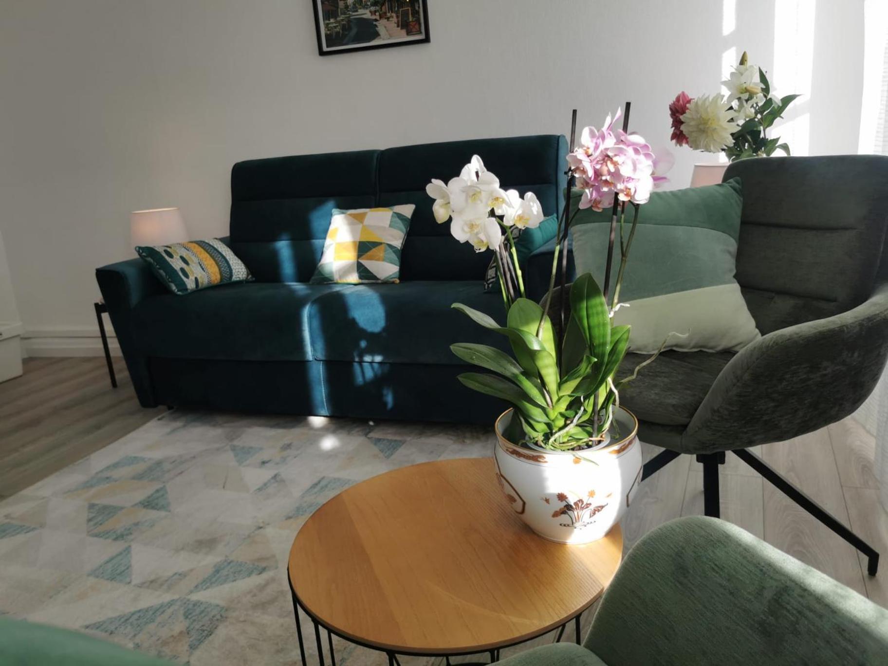 L Alsacienne F2 Centre Ville Mulhouse Dış mekan fotoğraf