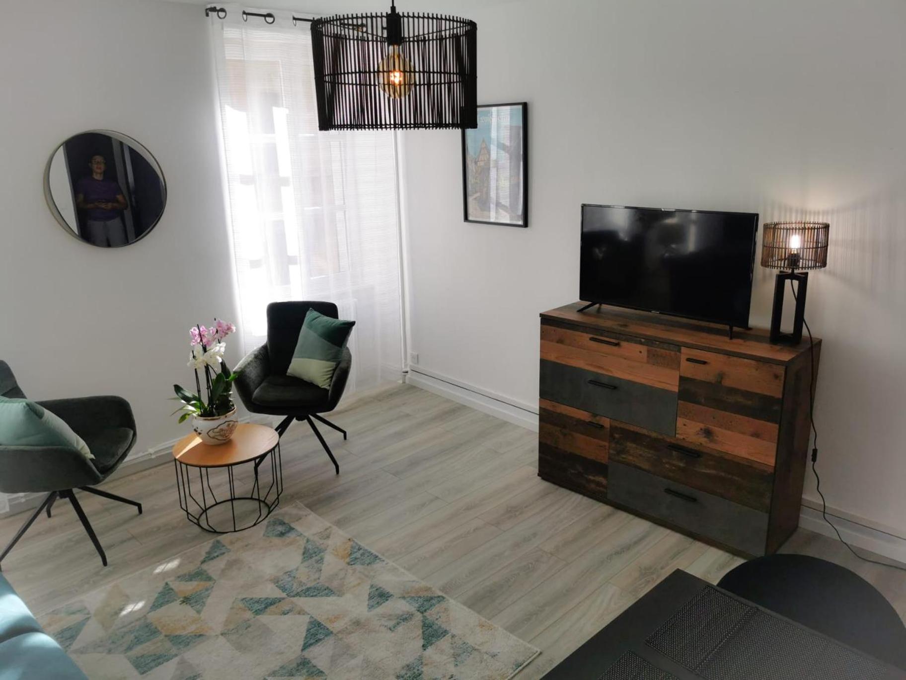 L Alsacienne F2 Centre Ville Mulhouse Dış mekan fotoğraf