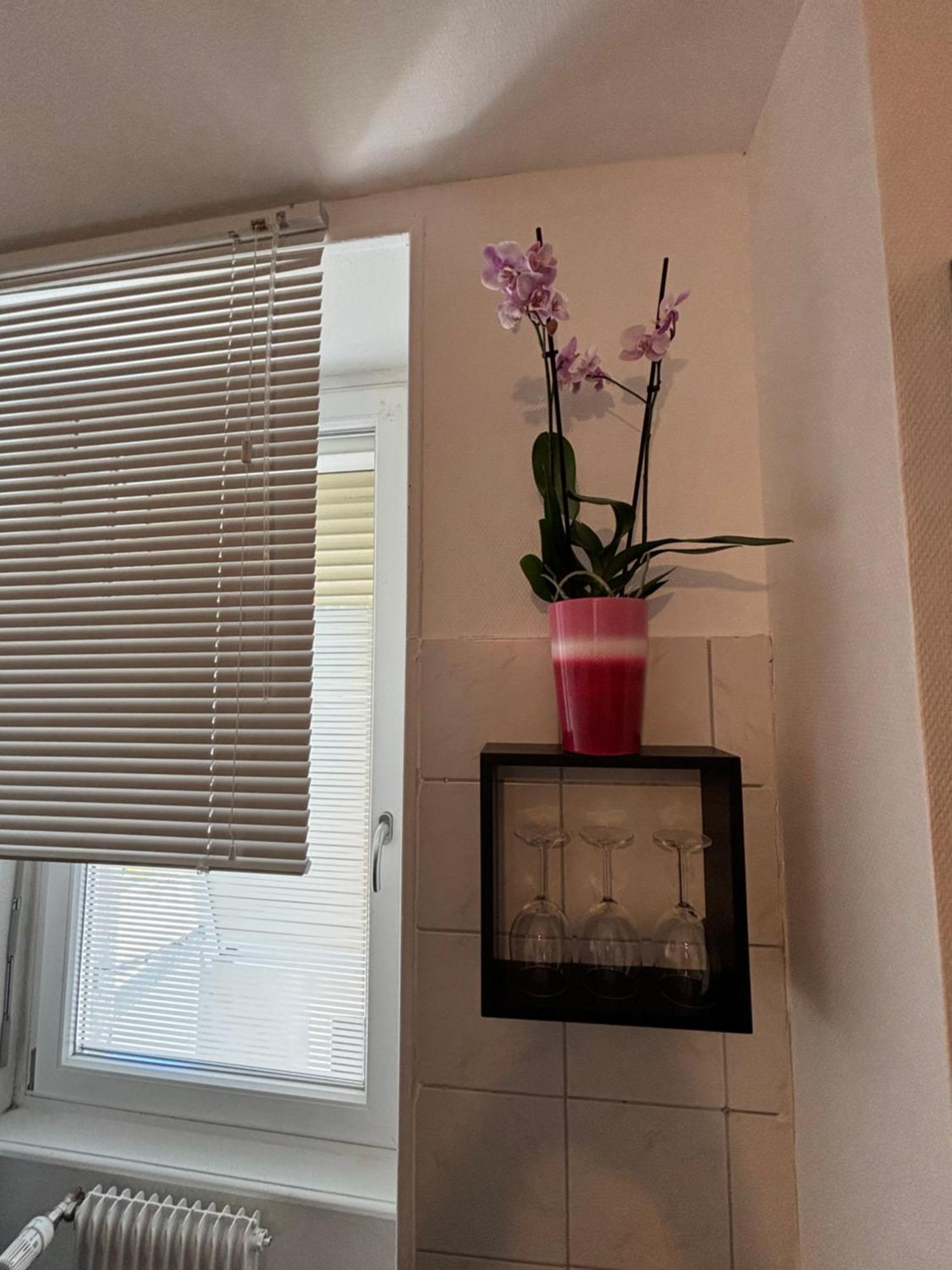 L Alsacienne F2 Centre Ville Mulhouse Dış mekan fotoğraf