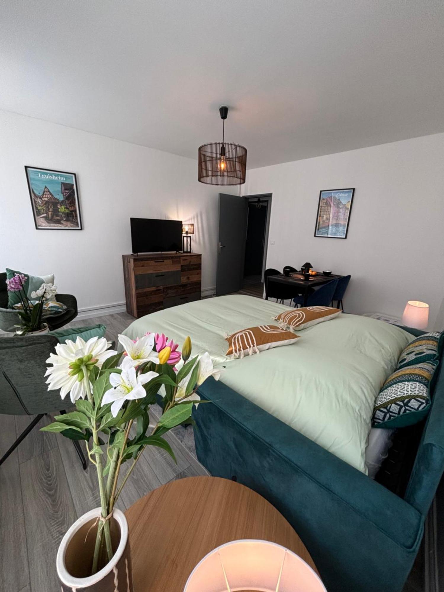 L Alsacienne F2 Centre Ville Mulhouse Dış mekan fotoğraf